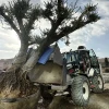 Peyzaj